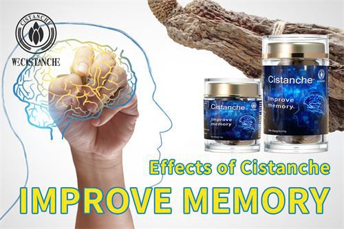 Improve memory and prevent Alzheimer's Disease ,rely on it! Desert ginseng Cistanche