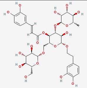 Echinacoside