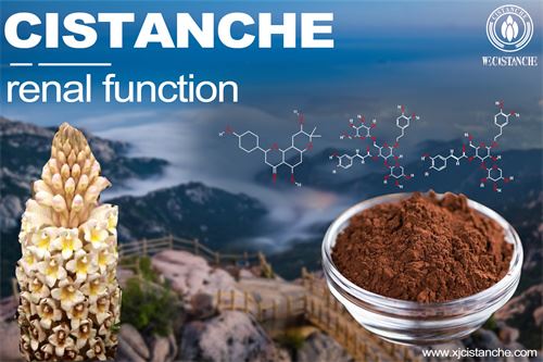 benefit of cistanche herb