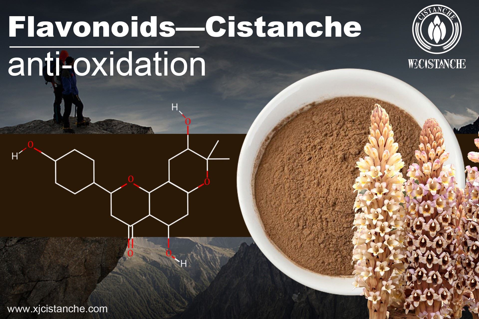 Flavonoids of Cistanche Flavonoids of Cistanche