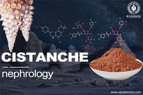 renal handling of Albumin