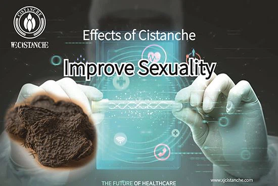 cistanche to treat kidney function