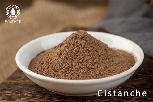 Cistanche tubulosa extract
