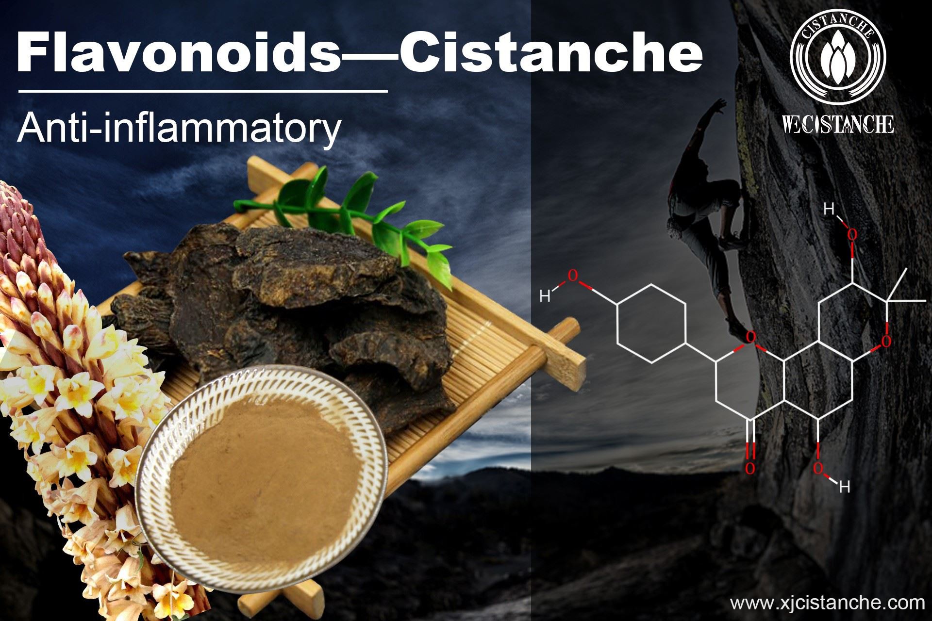 flavonoids anti-inflammatory