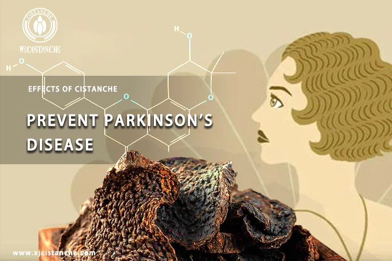 how to prevent parkinson's disease