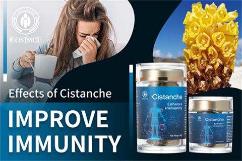 effects of cistanche improve immunity (15)