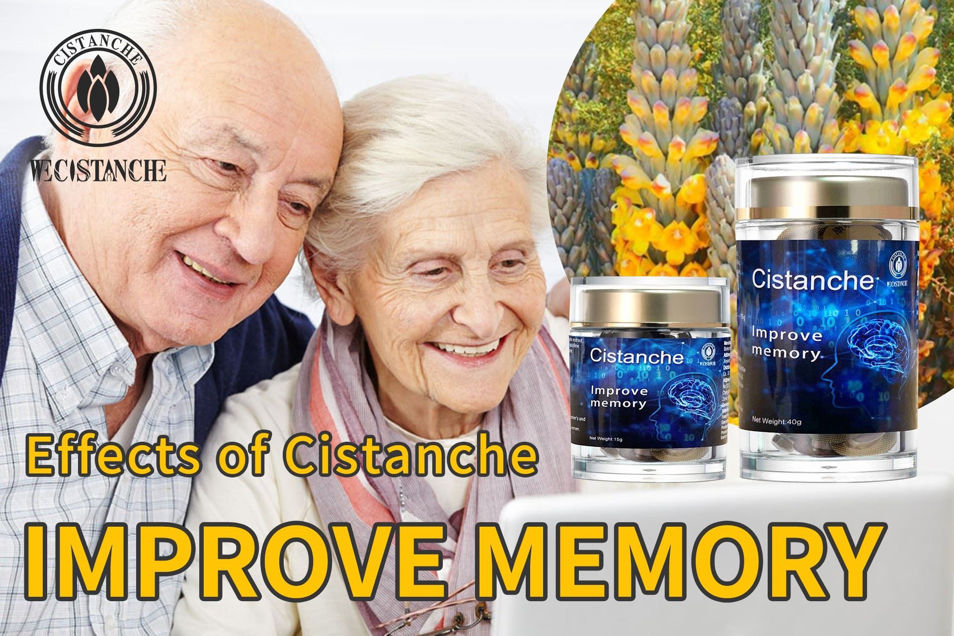 improve memory herb