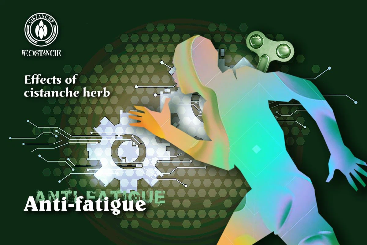 Anti-fatigue
