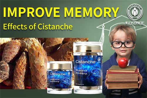 Cistanche can improve memory