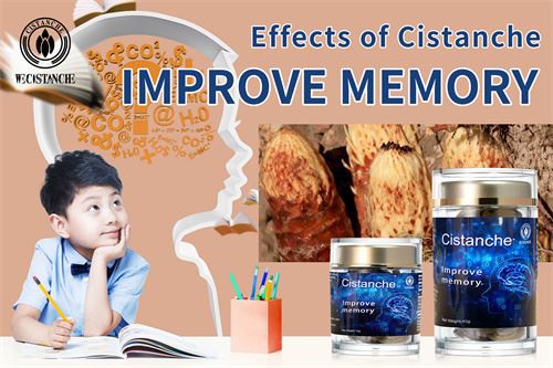 Cistanche can improve memory