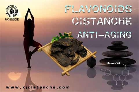 bioflavonoids effect on antiaging