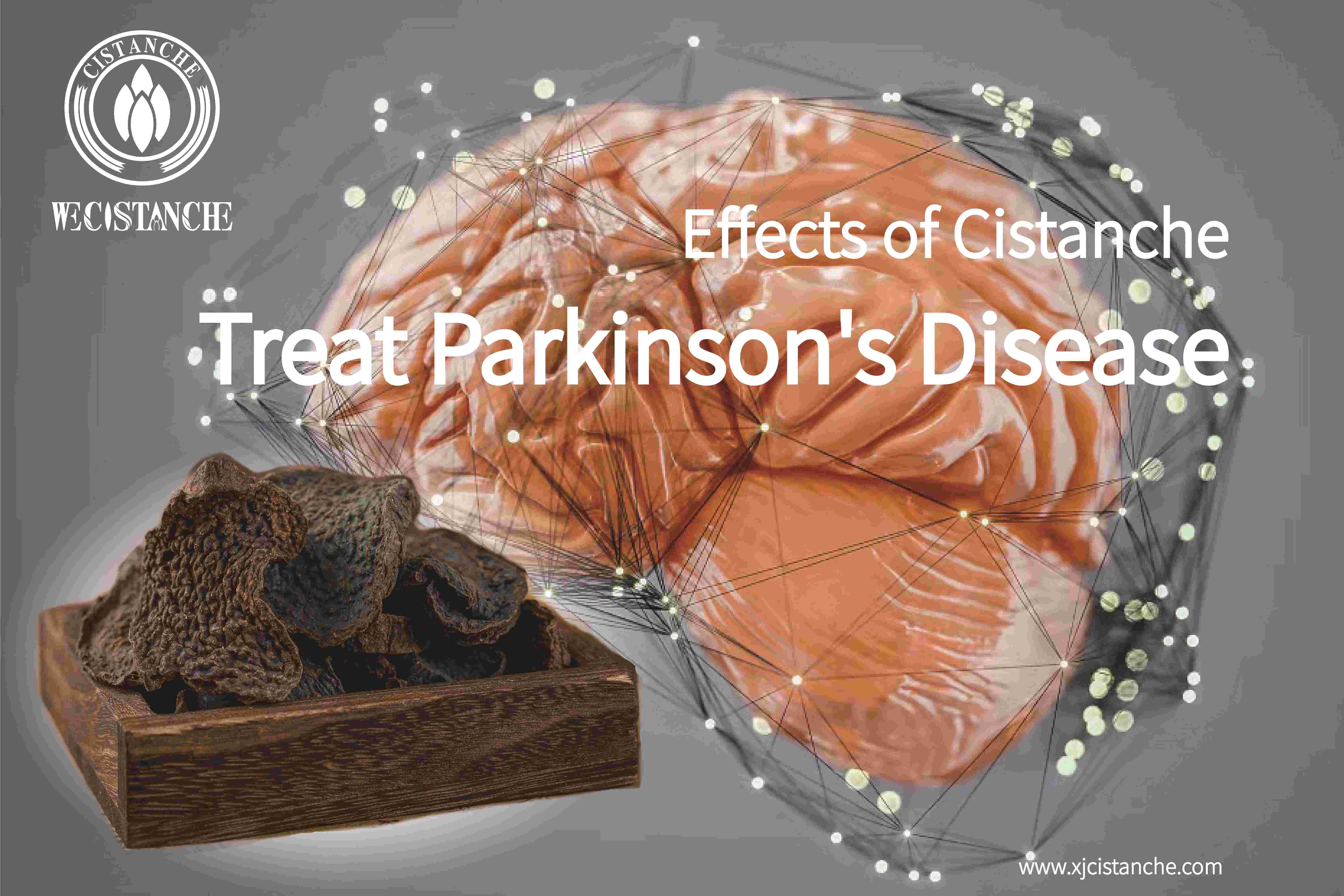 how to prevent parkinson's disease