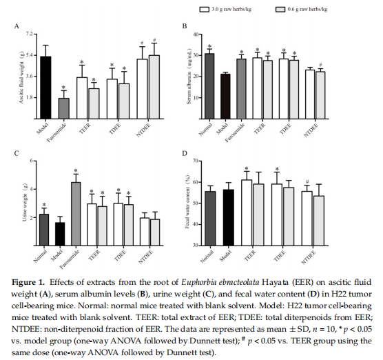 Figure 1. Effects of extracts from the root of Euphorbia ebracteolata Hayata(EER) on ascitic fluid weight (A),serum albumin levels (B), urine weight (C), and fecal water content (D)in H22 tumor cell-bearing mice. Normal:normal mice treated with blank solvent. Model:H22 tumorcell-bearing mice treated with blank solvent. TEER: total extract of EER;TDEE: total diterpenoids from EER;NTDEE:non-diterpenoid fraction of EER. The data are represented as mean ±SD, n=10, *p<0.05 vs.model group (one-way ANOVA followed by Dunnett test);*p<0.05 vs.TEERgroup using the same dose (one-way ANOVA followed by Dunnett test).
