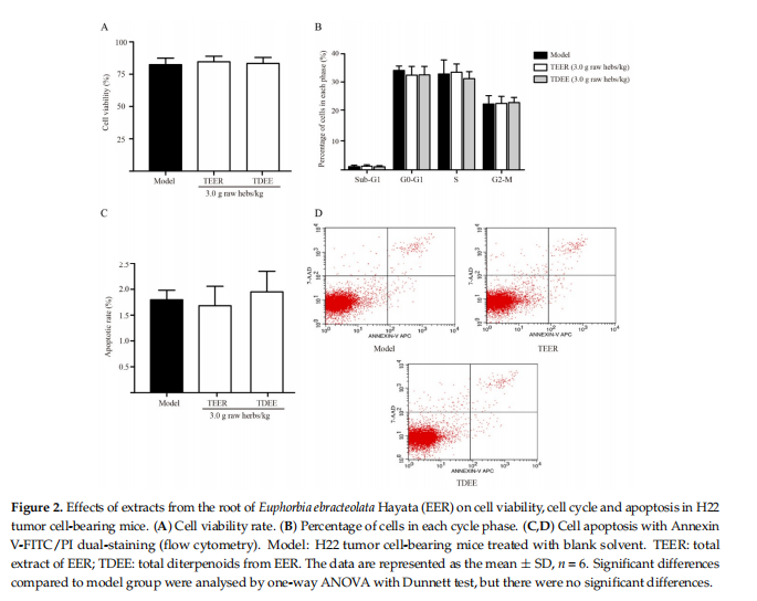 Figure 2. Effects of extracts from the root of Euphorbiaebradeolata Hayata(EER)on cell viability,cell cycle and apoptosis in H22 tumor cell-bearing mice.