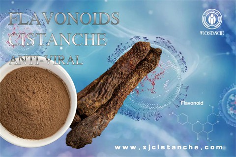 flavonoids anti viral