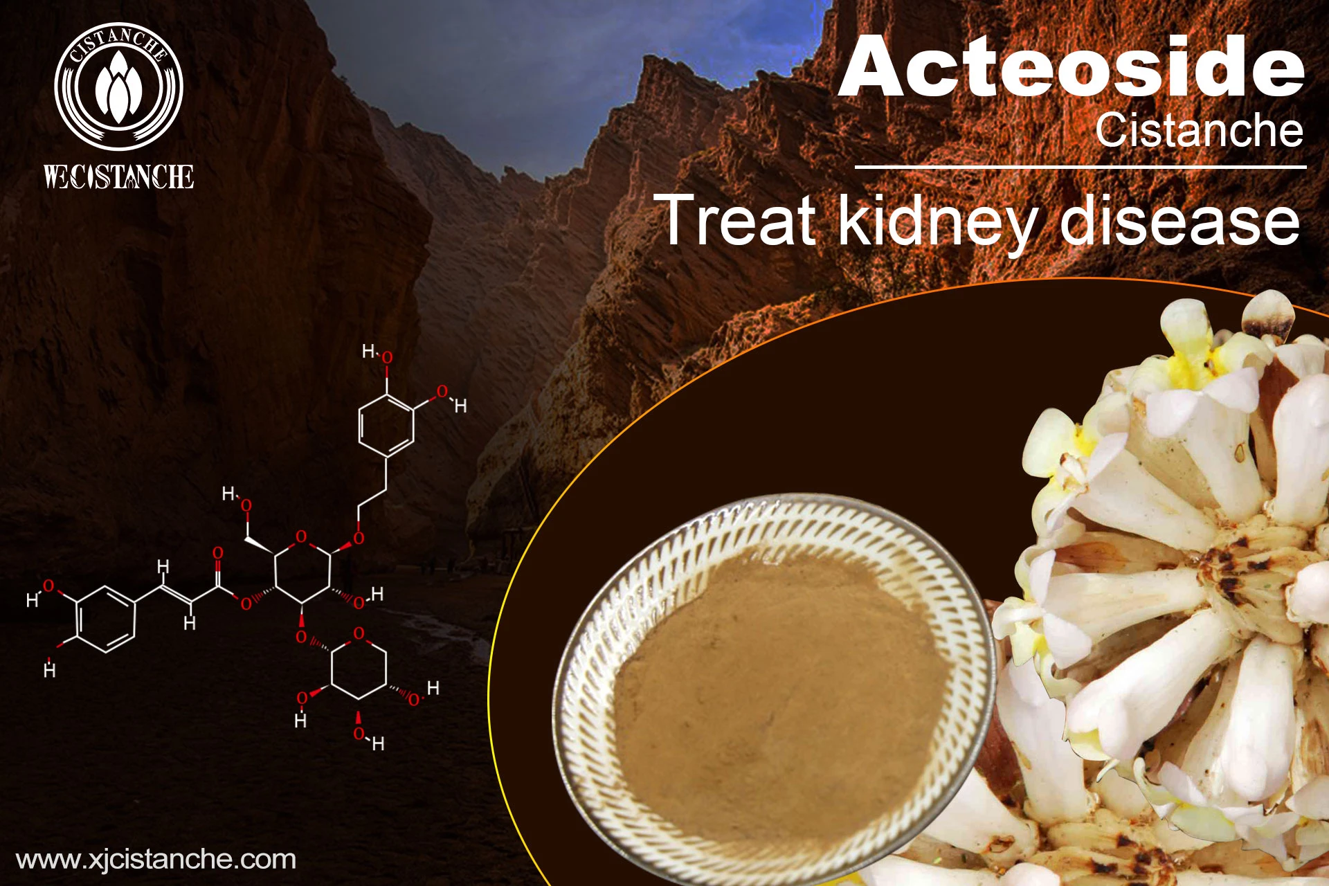 how to treat kidney disease how to treat kidney disease
