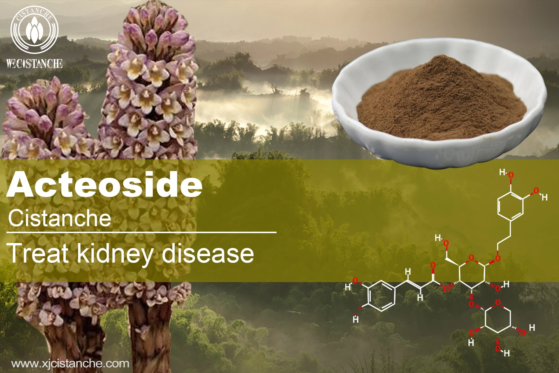 supplement for kidney disease supplement for kidney disease