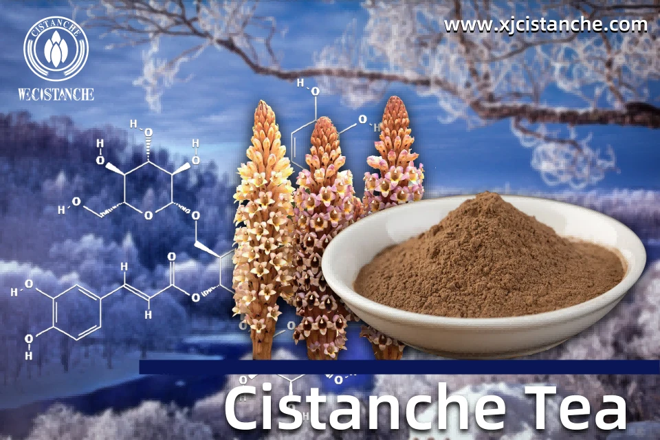 Cistanche usage
