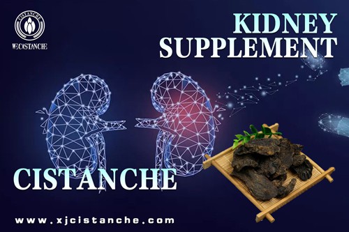 kidney supplement kidney supplement