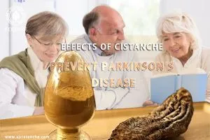 supplements to boost memory