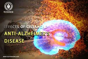 supplements to boost memory