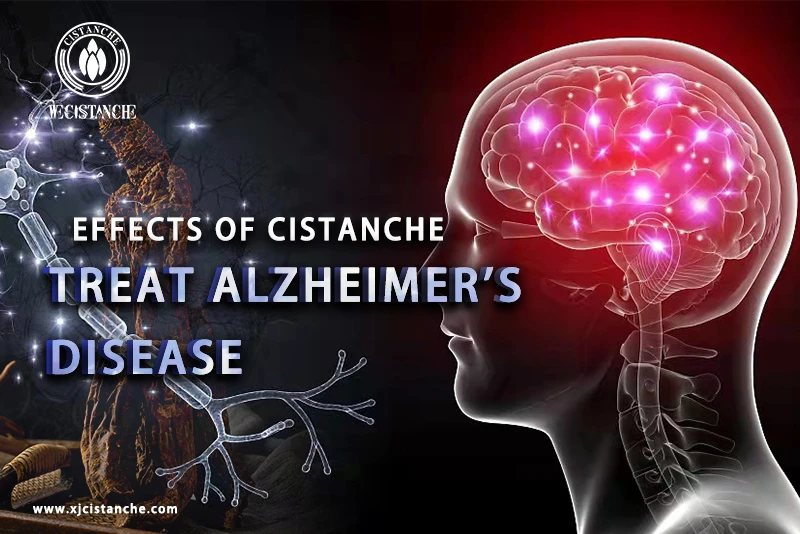 cistanche tubulosa for treating alzheimer's disease