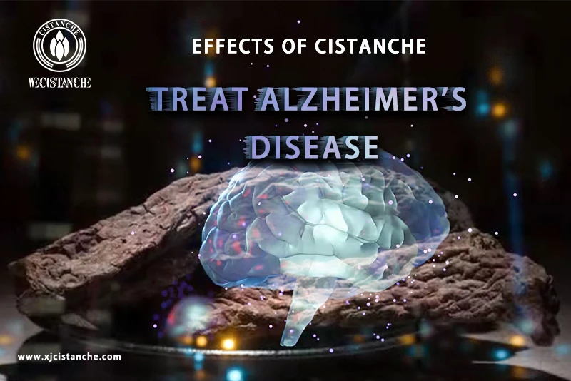 Cistanche tubulosa extract and products