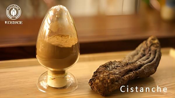 cistanche benefits
