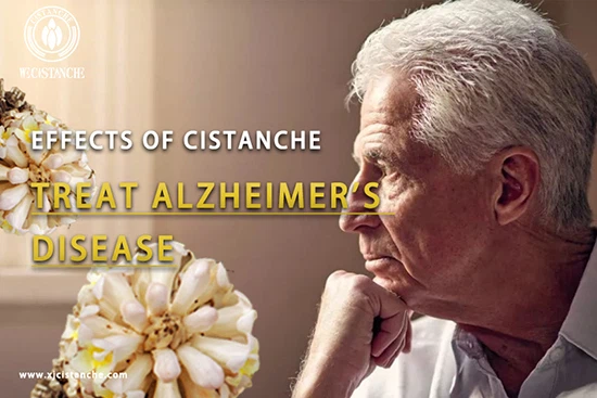 cistanche-prevent Alzheimer's disease (6)