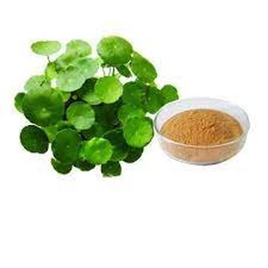 Centella Asiatica Ekstrakt Prah