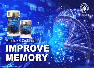 Suplementi Cistanche poboljšavaju pamćenje i sprečavaju Parkinsonovu bolest