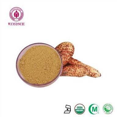 Wecistanche kvercetin u prahu flavonoidi